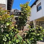 Altes Weingut Broehl