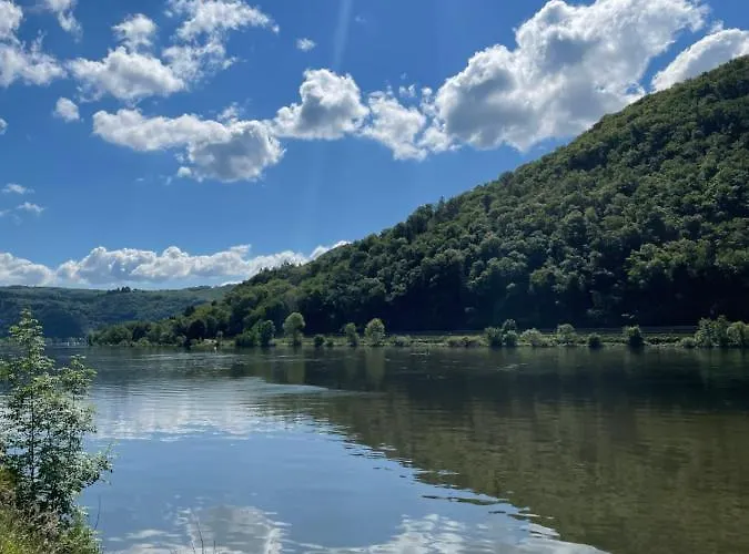 Altes Weingut Broehl 招待所 Hatzenport