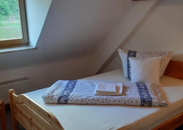 Altes Weingut Broehl 招待所