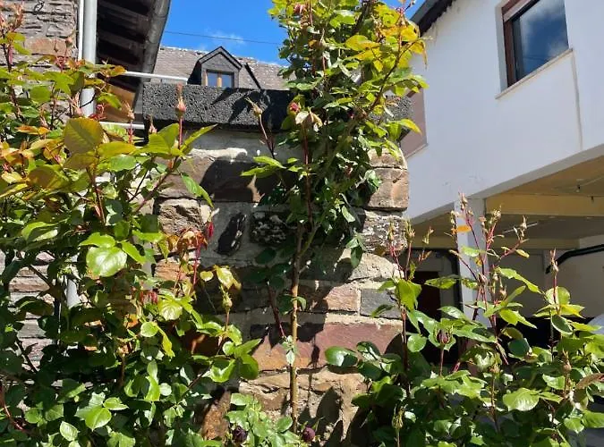 Altes Weingut Broehl